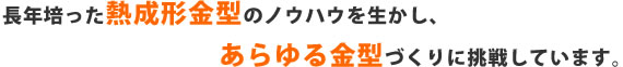 長年培った熱成形金型のノウハウを生かし、あらゆる金型づくりに挑戦しています。